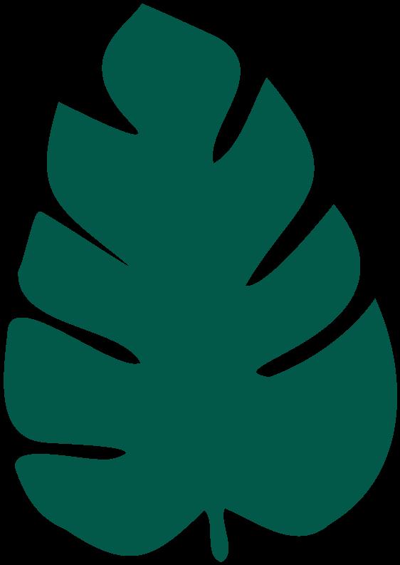 DƬ